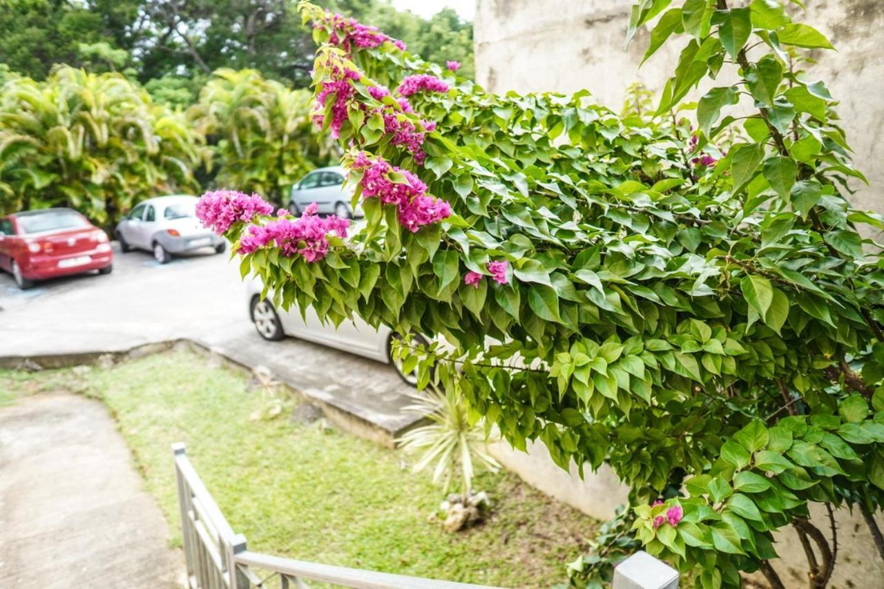 Color Garden - Studio Martinique Sainte-Anne Bagian luar foto