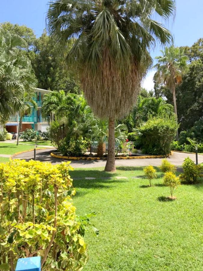 Color Garden - Studio Martinique Sainte-Anne Bagian luar foto