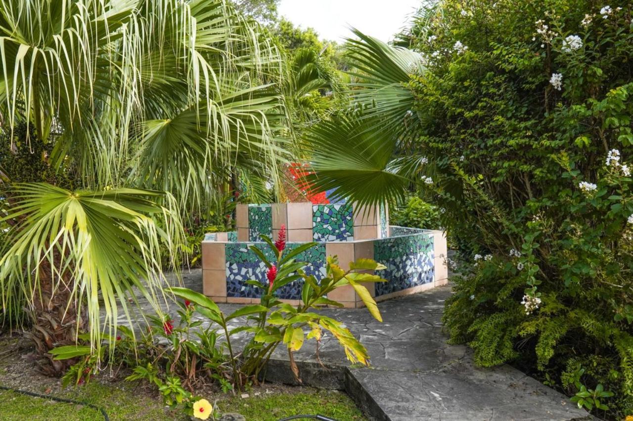 Color Garden - Studio Martinique Sainte-Anne Bagian luar foto